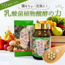 【 乳酸菌植物醗酵の力 】酵素 腸活サプリ 30g 粒 タイプ ラクティス菌 健康食品 水なしで飲める 植物発酵エキス