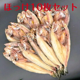 ほっけ 父の日 お中元 大サイズ 10枚セット ほっけ開 お徳用 干物 焼き魚 朝食 肴 グルメ お取り寄せ 母の日