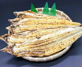 母の日 うなぎ白焼 朝焼き 鹿児島県産 冷蔵 大隅産 鰻 一尾 180g～200g前後 特大サイズ ふっくら肉厚 やわらか お取り寄せ グルメ ギフト 土用 土用丑 特大 炭焼き ギフト包装