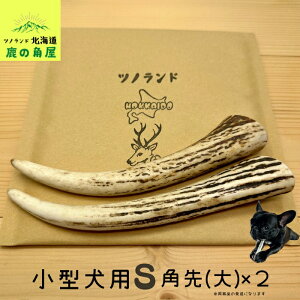 【小型犬用 角先(大) 2本セット】鹿の角 犬のおもちゃ 犬用 おもちゃ 噛んでも 壊れない 手作り 硬い 丈夫 人気 頑丈 超大型犬もOK 鹿角 天然 無添加 蝦夷鹿 ペット ペット用品 犬 ドッグガム
