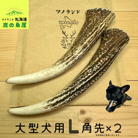 【大型犬用 角先 2本セット】 鹿の角 犬のおもちゃ 犬用 おもちゃ 噛んでも 壊れない 手作り 硬い 丈夫 人気 頑丈 超大型犬もOK 鹿角 天然 無添加 蝦夷鹿 ペット ペット用品 犬 ドッグガム 角ガム クセになる おやつ ご褒美 硬いおもちゃ 歯磨き ガジガジくん