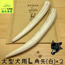 【大型犬用 角先(白) 2本セット】 鹿の角 犬のおもちゃ 犬用 おもちゃ 噛んでも 壊れない 手作り 硬い 丈夫 人気 頑丈 超大型犬もOK 鹿角 天然 無添加 蝦夷鹿 ペット ペット用品 犬 ドッグガム 角ガム クセになる おやつ ご褒美 硬いおもちゃ 歯磨き ガジガジくん