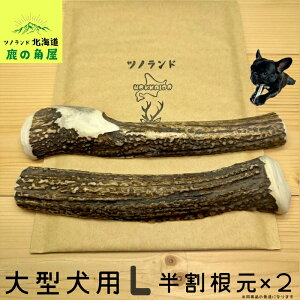 【大型犬用 半割根元 2本セット】鹿の角 犬のおもちゃ 犬用 おもちゃ 噛んでも 壊れない 手作り 硬い 丈夫 人気 頑丈 超大型犬もOK 鹿角 天然 無添加 蝦夷鹿 ペット ペット用品 犬 ドッグガム