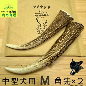 【中型犬用 角先 2本セット】鹿の角 犬のおもちゃ 犬用 おもちゃ 噛んでも 壊れない 手作り 硬い 丈夫 人気 頑丈 超大型犬もOK 鹿角 天然 無添加 蝦夷鹿 ペット ペット用品 犬 ドッグガム 角ガム クセになる おやつ ご褒美 硬いおもちゃ 歯磨き ガジガジくん