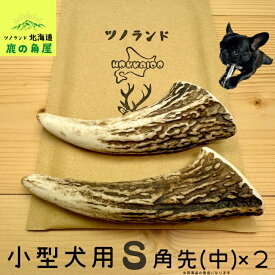 【小型犬用 角先(中) 2本セット】鹿の角 犬のおもちゃ 犬用 おもちゃ 噛んでも 壊れない 手作り 硬い 丈夫 人気 頑丈 超大型犬もOK 鹿角 天然 無添加 蝦夷鹿 ペット ペット用品 犬 ドッグガム 角ガム クセになる おやつ ご褒美 硬いおもちゃ 歯磨き ガジガジくん