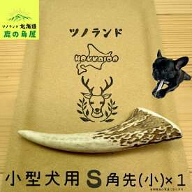 【小型犬用 角先(小) 1本】鹿の角 犬のおもちゃ 犬用 おもちゃ 噛んでも 壊れない 手作り 硬い 丈夫 人気 頑丈 超大型犬もOK 鹿角 天然 無添加 蝦夷鹿 ペット ペット用品 犬 ドッグガム 角ガム クセになる おやつ ご褒美 硬いおもちゃ 歯磨き ガジガジくん