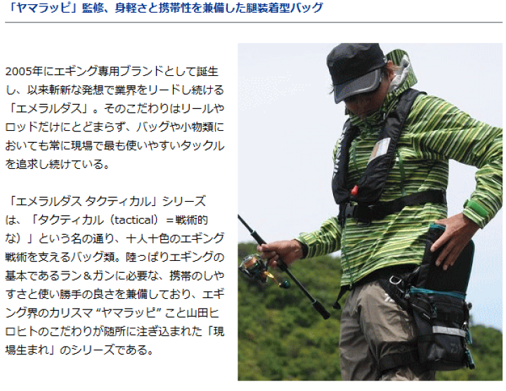 楽天市場】ダイワ エメラルダス タクティカル サイバッグ（A