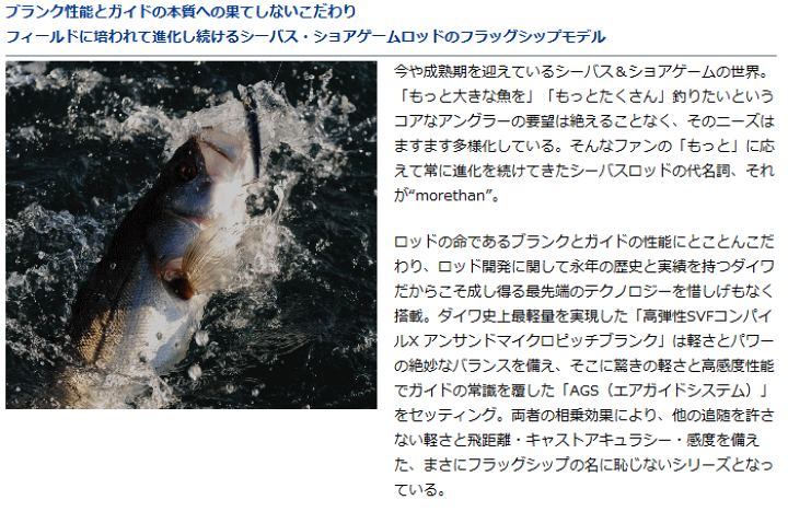 ダイワ モアザン AGS 109MMH daiwa ダイワ(Daiwa) MORETHAN(モアザン) AGS 109MMH 01474063