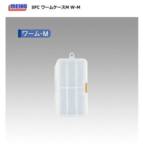 CzE SFC A[P[X M (L-M) ދ