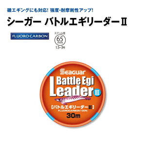 Nn V[K[ ogGM[_[2 30m 1.75 / GMO y[֔z ދ