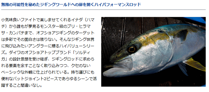 ダイワ(DAIWA) ジギングロッド ヴァデル 60MHS DAIWA（釣り） ダイワ '19 VADEL(ヴァデル) J60MHS (ジギング