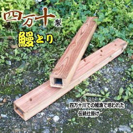 楽天市場 ウナギ 捕りの通販