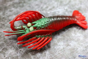 ^Rނp^a }V tFCN ɐGr  MTCY y[֔z