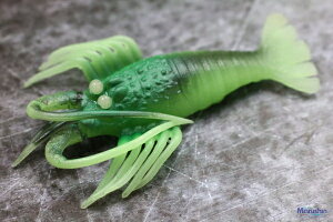 ^Rނp^a }V tFCN ɐGr  MTCY y[֔z