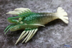 ^Rނp^a }V tFCN ɐGr  MTCY y[֔z