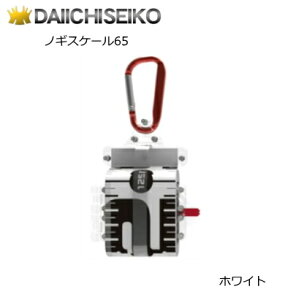 ꐸH mMXP[65 zCg  yΖZ[z