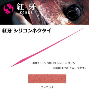 _C g VRlN^C `[ STS `R y[֔z ދ