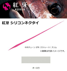 _C g VRlN^C `[ STS I[ y[֔z ދ