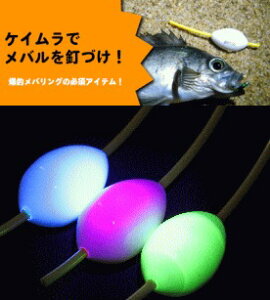 Kc (gartz) PCVbg X[ p[v / CgQ[pt[g y[֔z ދ