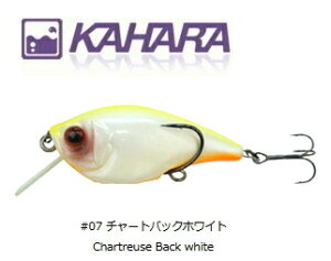 JnWp KJNNxCg SL #07 `[gobNzCg / A[ ދ