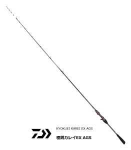 _C ɉsJC EX AGS 160 / D ދ daiwa yΖZ[z