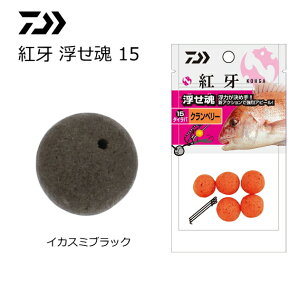 _C g  15 CJX~ubN / ^Co y[֔z ދ yΖZ[z