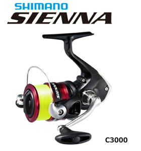 V}m 19 VGi C3000 3t / XsjO[ ދ yԌZ[z