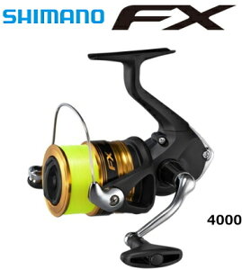 V}m 19 GtGbNX FX 4000 4t / XsjO[ ދ ދ yԌZ[z