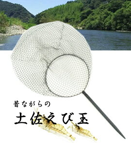 yы ̂Ȃ̐Grp ʖ y[֔z yΖZ[z