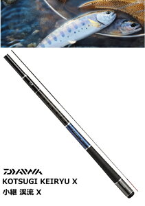 _C p k X d 30 daiwa ދ yΖZ[z