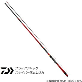楽天市場 仕掛け チヌ 落とし込みの通販