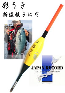 ʂ V  ͂  3B / O `k _EL saiuki y[֔z