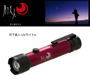 _C l UVCg At@ / LEDCg daiwa ދ yΖZ[z