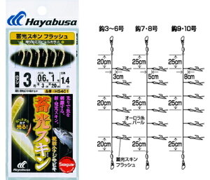 nuT hAWܖ tbV HS401 (n8/nX3/5) y[֔z 