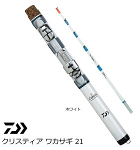 _C NXeBA JTM 21 zCg / JTM daiwa ދ yԌZ[z