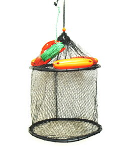 ACu o[z[X XJ (t[gE[vt) KG-207 40cm×2i