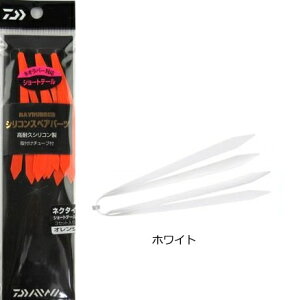 _C xCo[ VRlN^C V[g^Cv #zCg / A[ ^Co ދ y[֔z