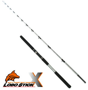 yZ[z \tBGX^ (solfiesta) {XeBbN GbNX 195-V (100`180) / D