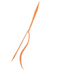 【セール】 シマノ 炎月 ミックスストレート ED-X02U #001 オレンジラメ / 鯛ラバ 【メール便発送】