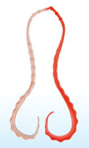 ܂ O[  3D\tglN^C #28 PCIW/ubh / ⃉o ^Co y[֔z