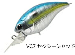 R[ [TNN 50 SR #VC7 ZNV[Vbh / oX A[ y[֔z ދ