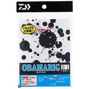 _C OBAMARIG Xv[t Ɋ 4 }4 2g / d| y[֔z ދ