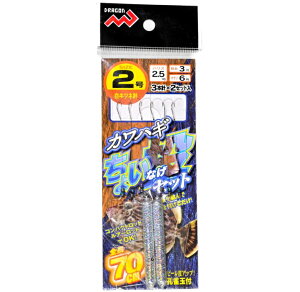 }V JnM傢Zbg 2 / d| y[֔z