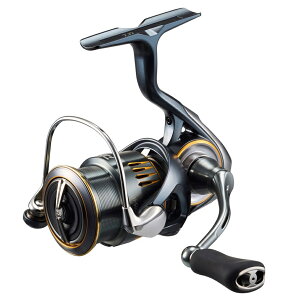 _C 23 GAeB LT2000S-H / XsjO[ daiwa ދ