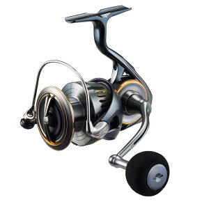 _C 23 GAeB LT5000D-CXH / XsjO[ daiwa ދ yԌZ[z