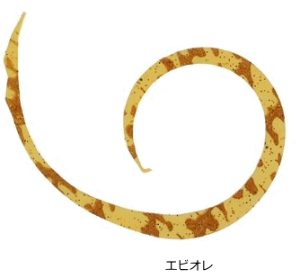 WbJ rrXCb`T+lN^C }CNJ[[ X #GrI / ⃉o ^Co y[֔z