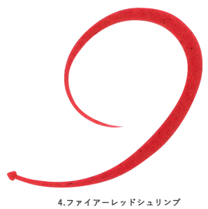 nuT t[XCh JX^lN^C oL[J[[ VO SE189 #4 t@CA[bhVv / ^Co ⃉o ދ y[֔z