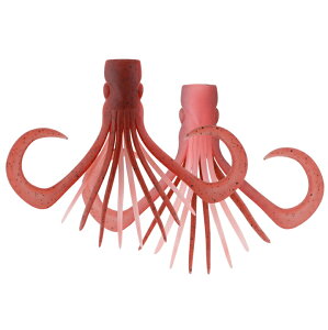 WbJ rrXCb` }XN MTCY {PTLCJ / ⃉o ^Co y[֔z ދ yΖZ[z