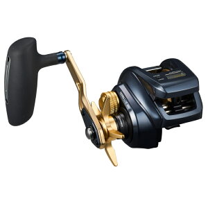 _C 23 eBG LJ IC 300H (Enh) / xCg[ daiwa ދ yԌZ[z