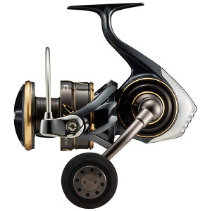 _C JfBA SW 8000-P / XsjO[ daiwa ދ yԌZ[z